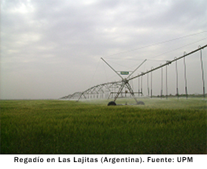 Regadio